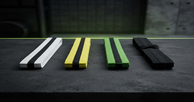 What Each Lean Six Sigma Belt Level Covers